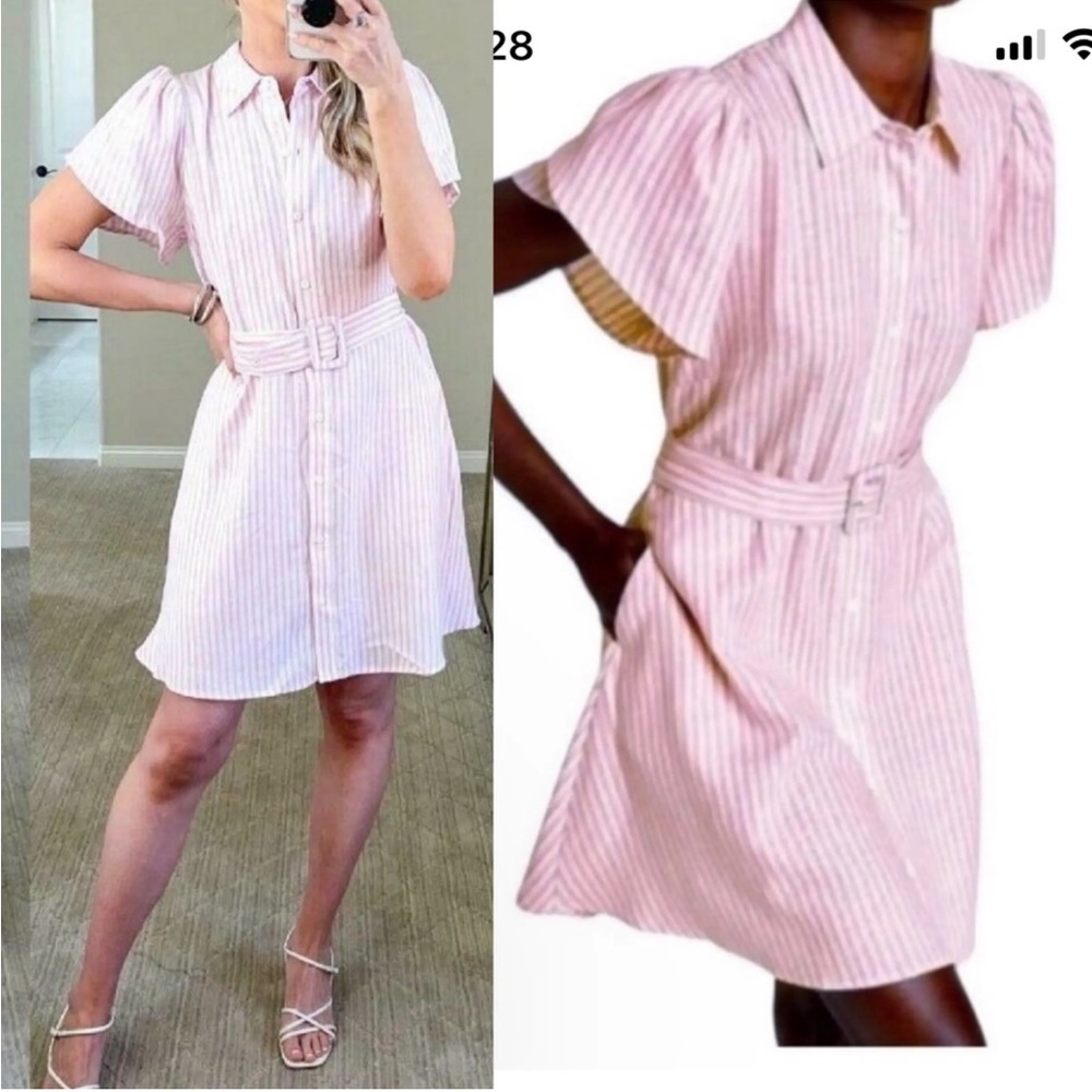 Alexis Blush Striped Belted Mini Dress - Picture 2 of 5